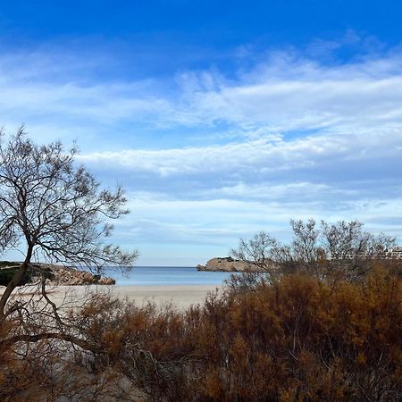 Disfruta Del Paraiso Son Parc Exteriér fotografie