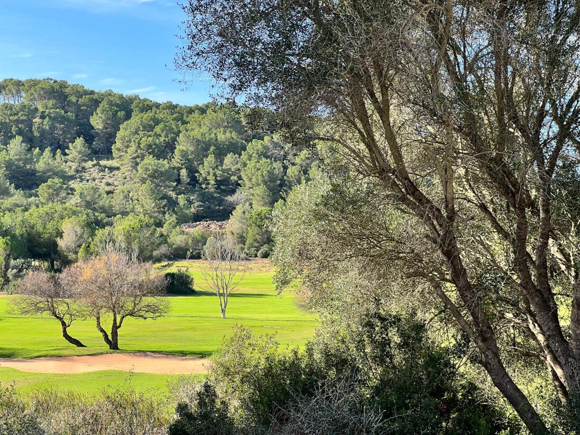Disfruta Del Paraiso Son Parc Exteriér fotografie